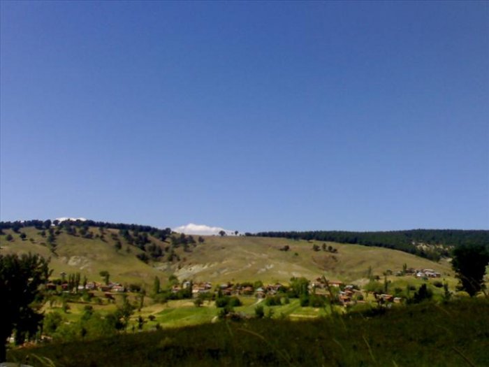 04072008154.jpg