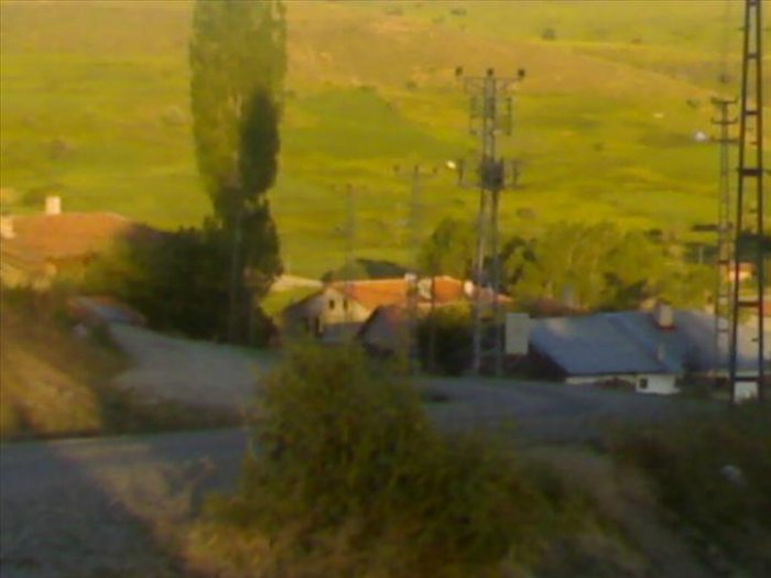 04072008157.jpg