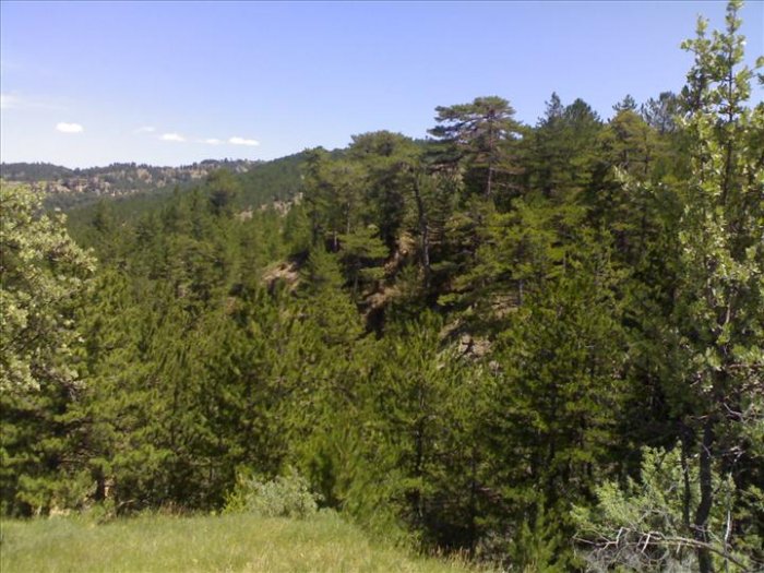 09072008234.jpg