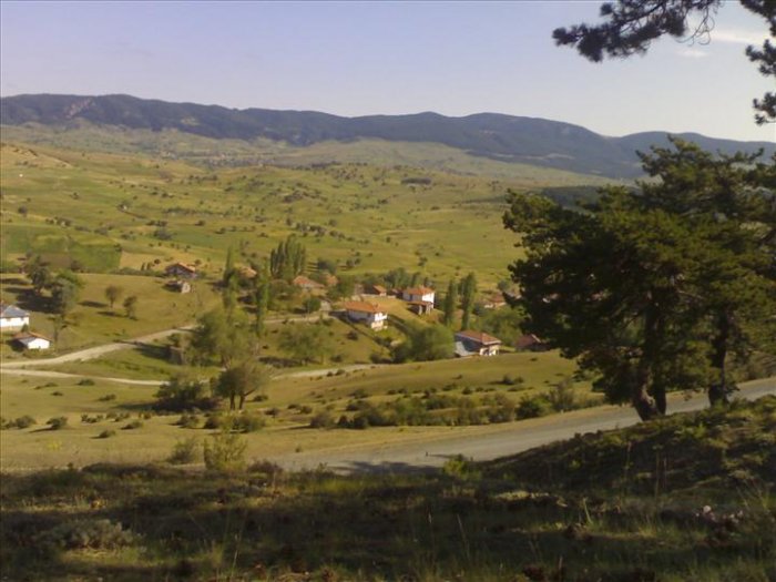 12072008246.jpg