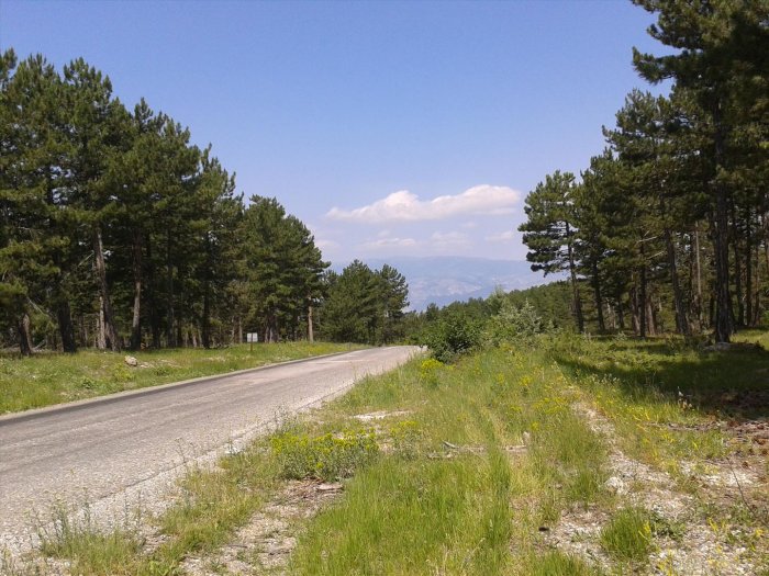 2012-06-16 11.02.20.jpg