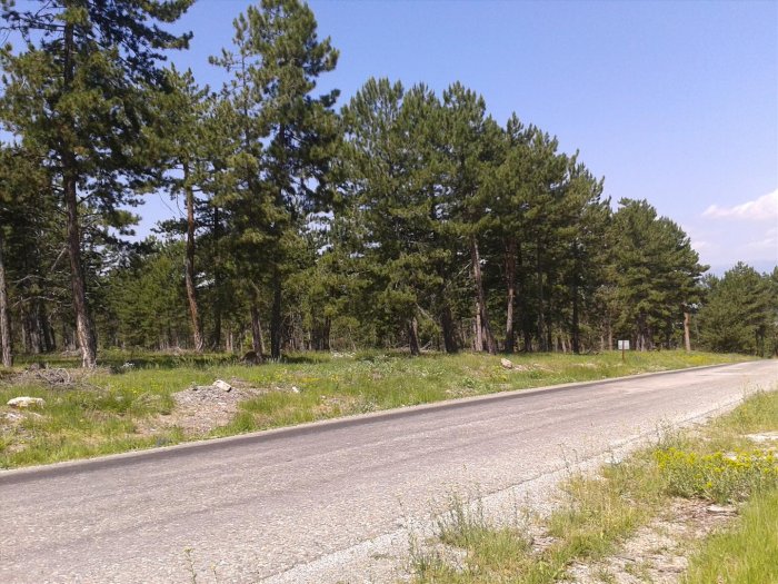 2012-06-16 11.02.26.jpg