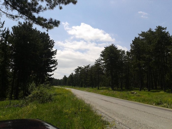 2012-06-16 11.02.33.jpg