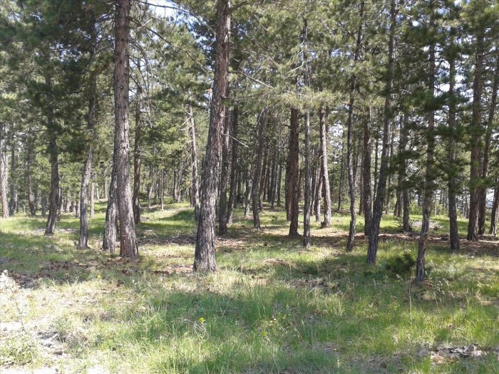 2012-06-16 11.02.45.jpg