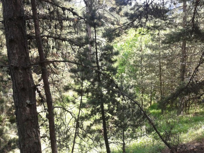 2012-06-16 11.57.33.jpg