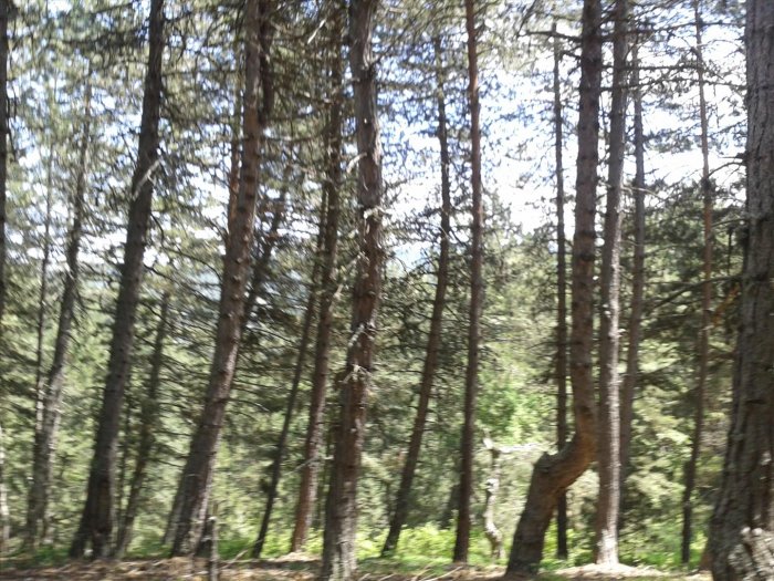 2012-06-16 12.00.01.jpg