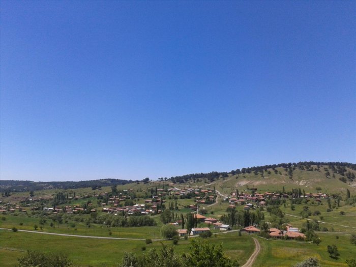 2012-06-17 13.48.41.jpg