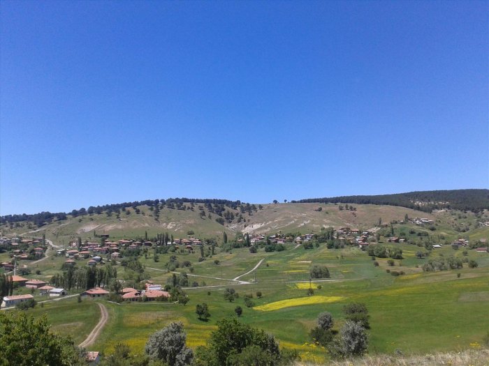 2012-06-17 13.48.48.jpg