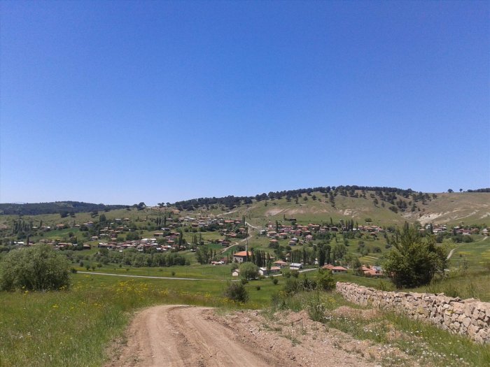 2012-06-17 13.59.22.jpg